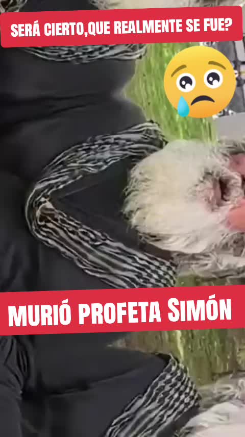 @🌽SIRENA-NAVI💥🌽