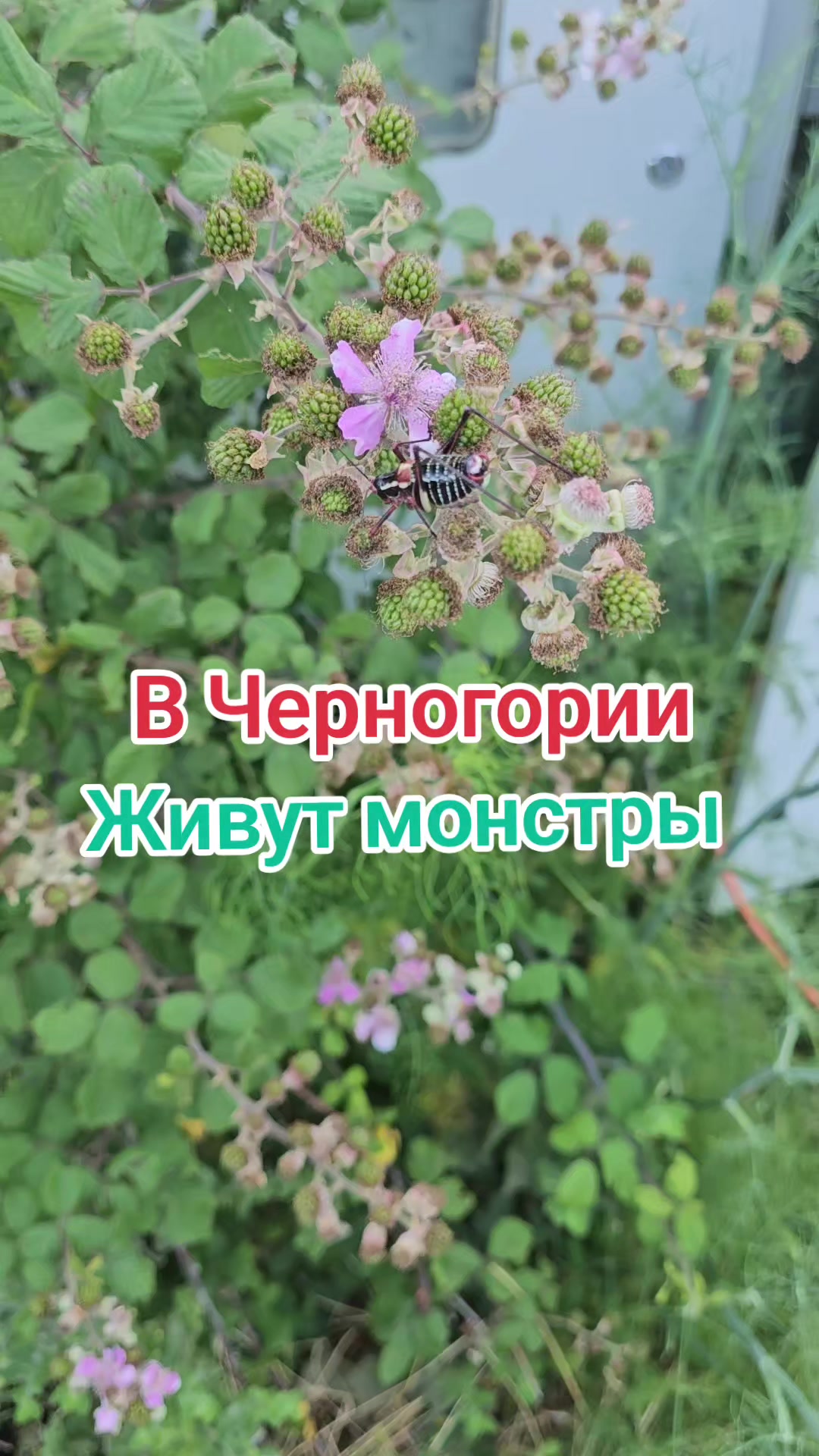 @Иван