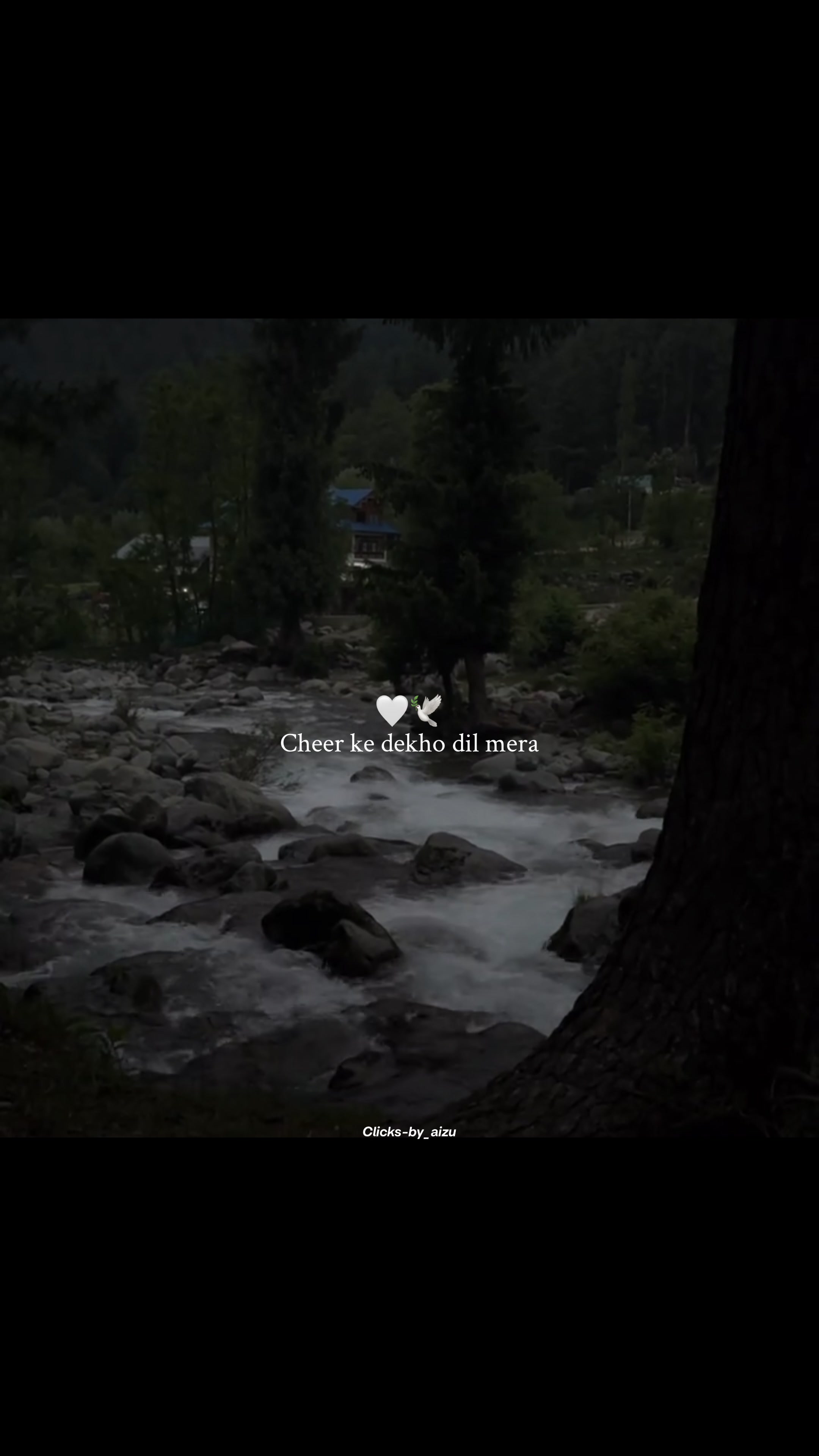 @𝘼 𝙄 𝙕 𝘼 𝙕 &bull; 🐼🍁