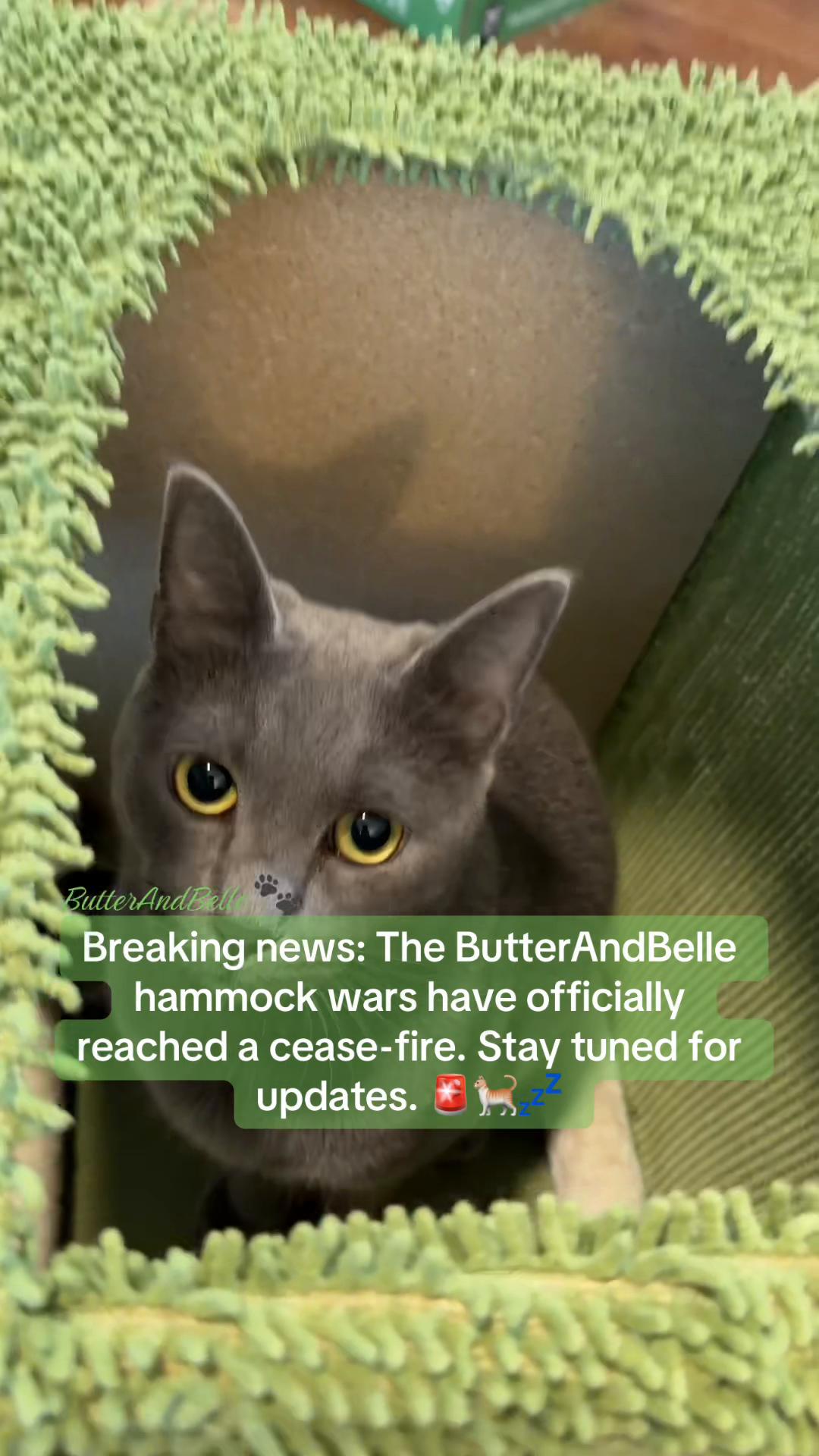 @ButterAndBelle