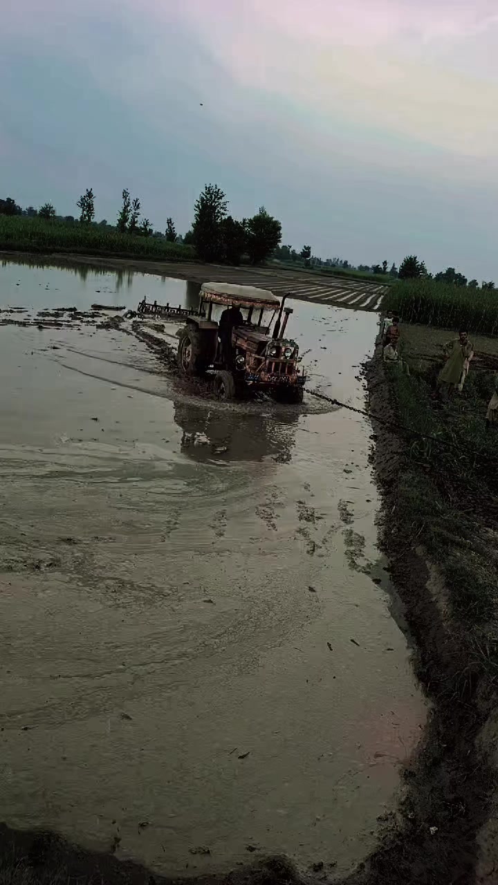 @Ali Akbar