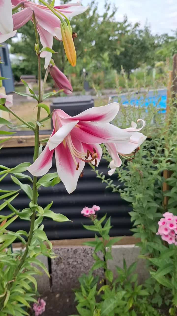 @Natur und Garten
