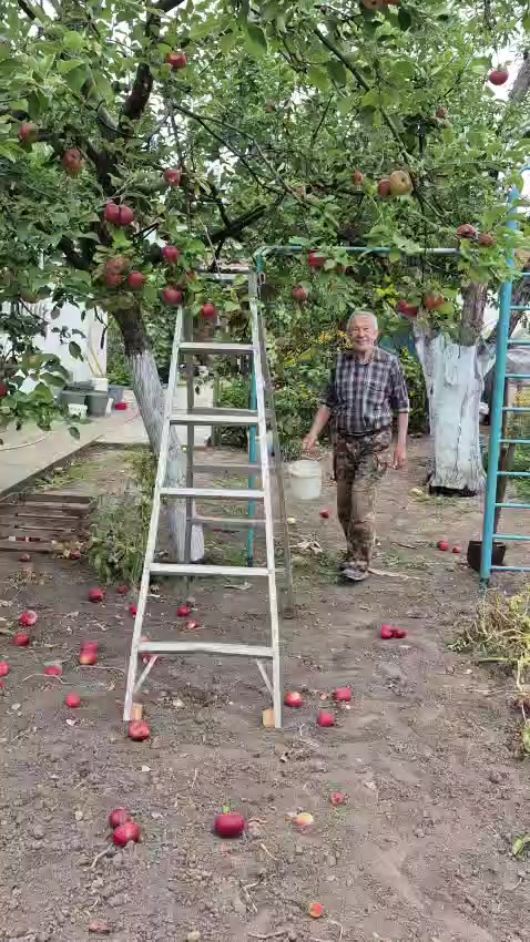 @РифмоДед