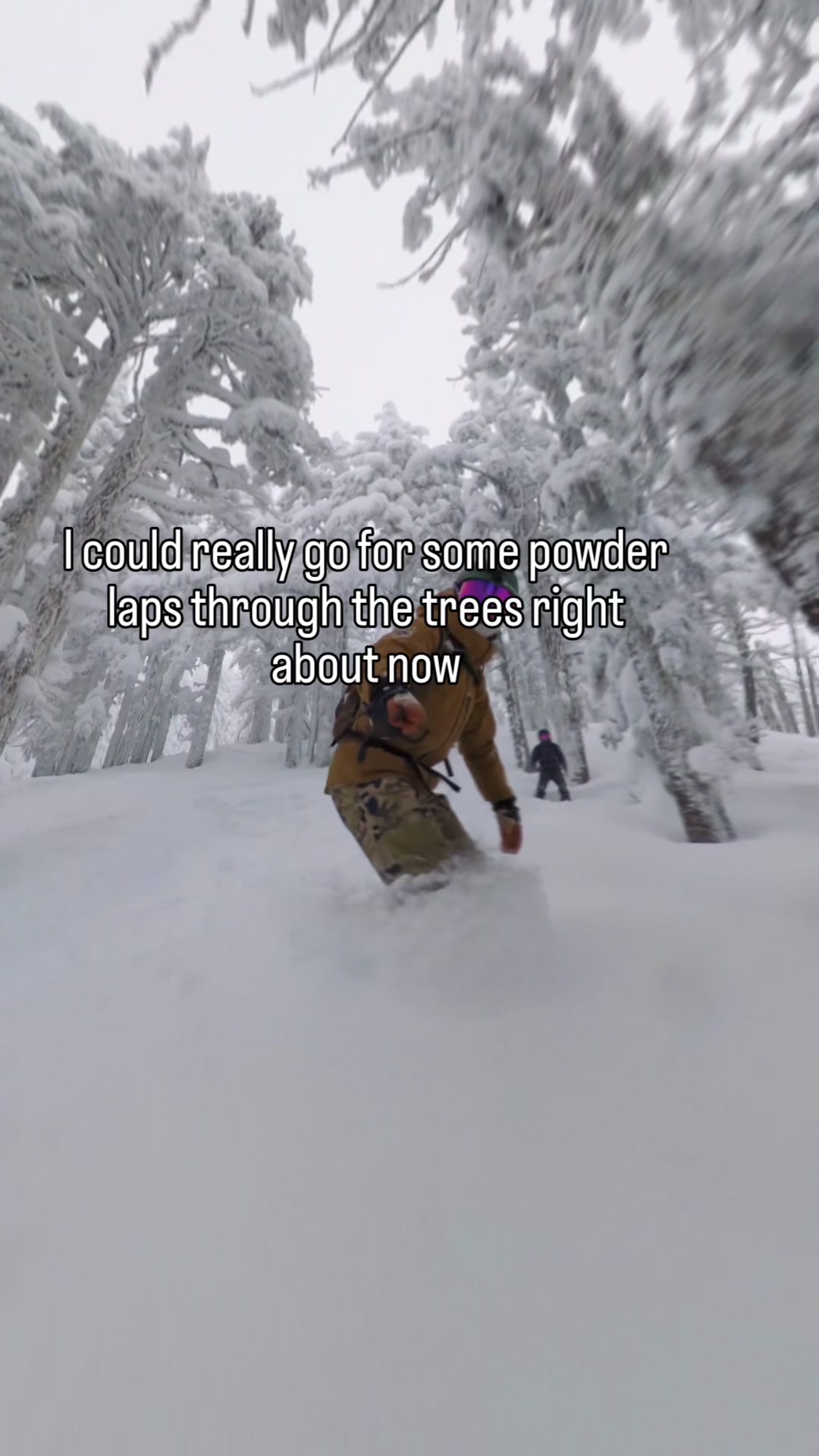 @Boards Bikes and Hikes