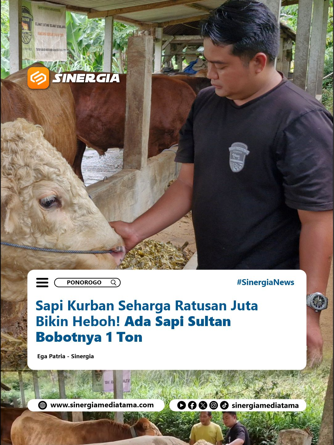@SINERGIA MEDIATAMA