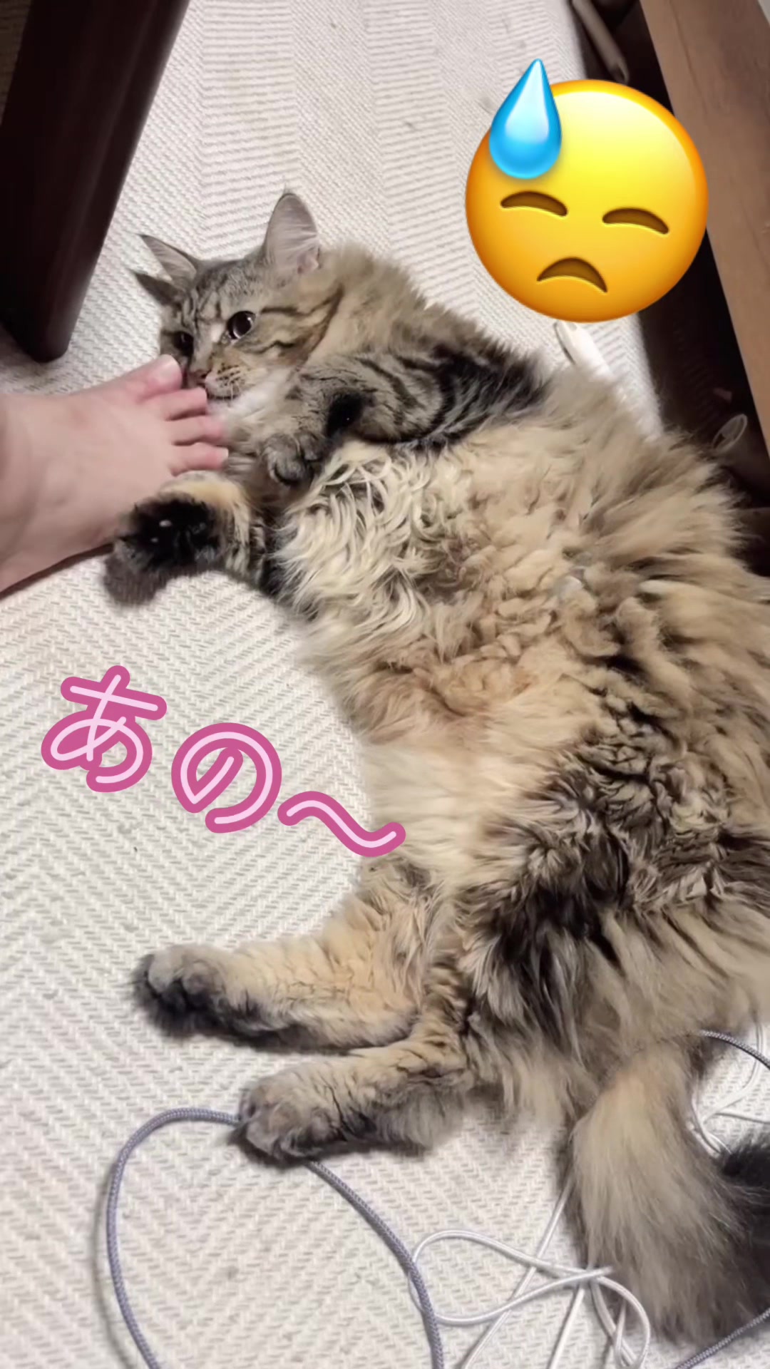 @−−−N.A.S −−−