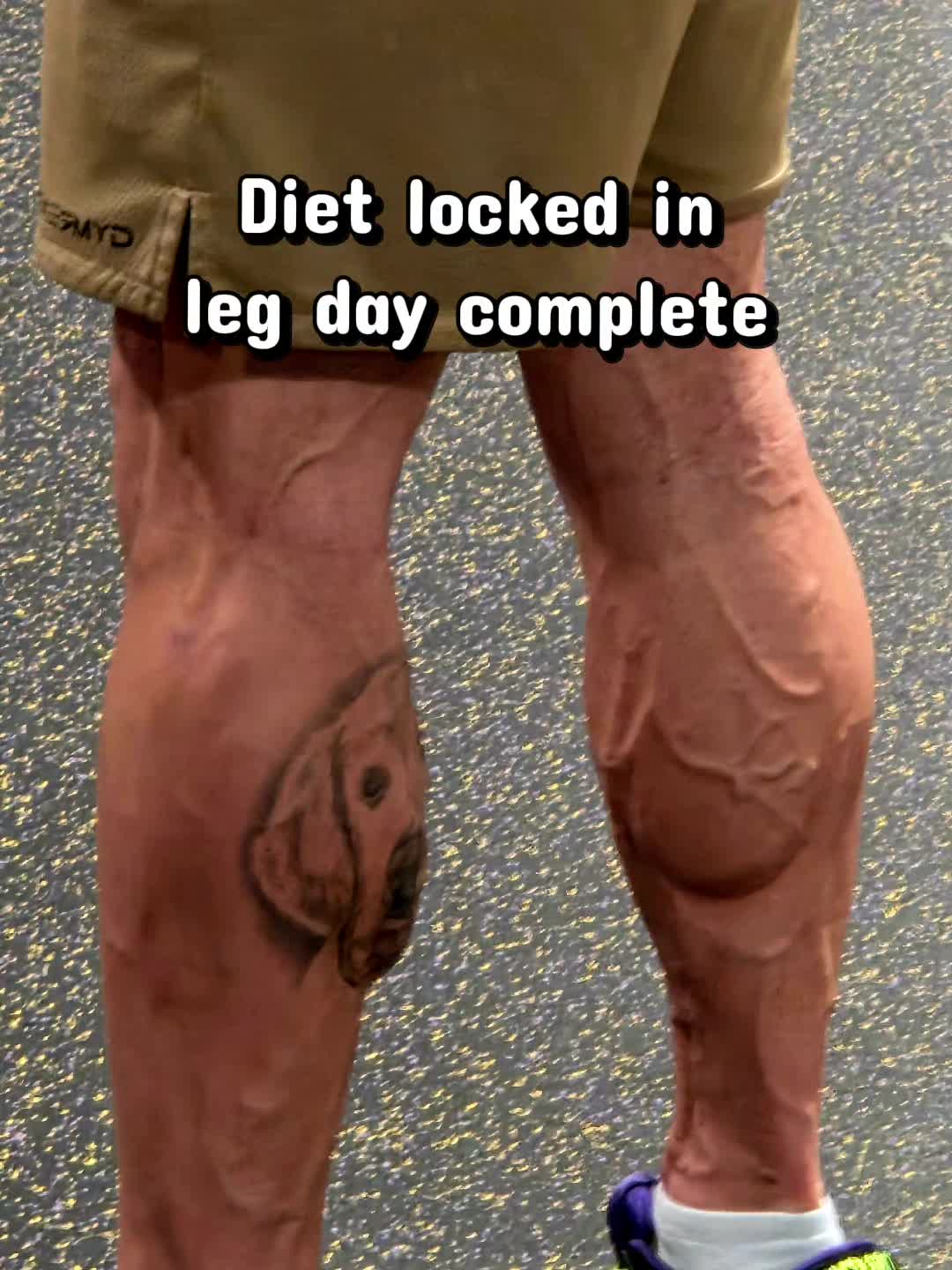 @Tatteddadof2