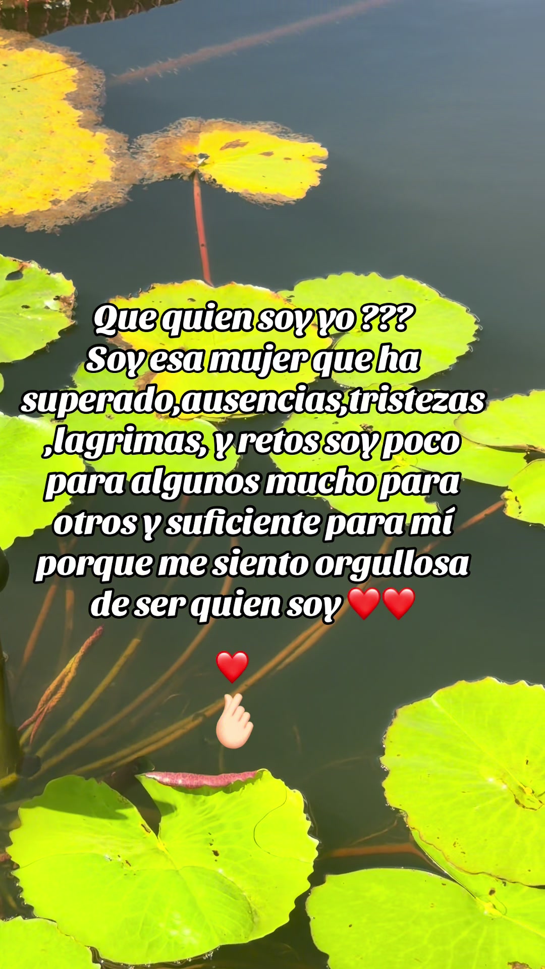 @🎀Yomi🦋