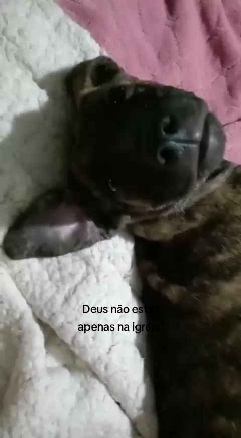 @Amanditas