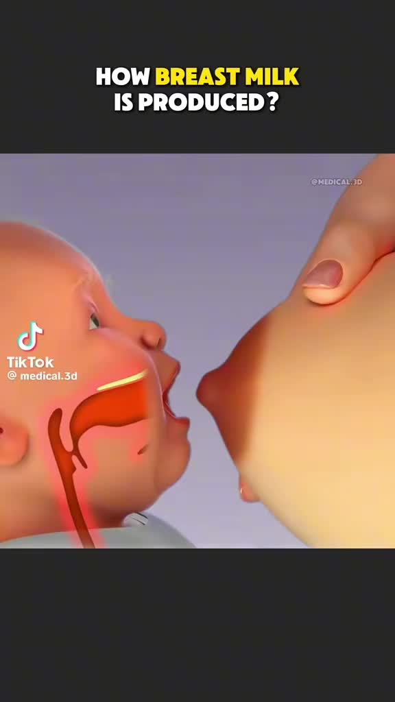 @rickytox