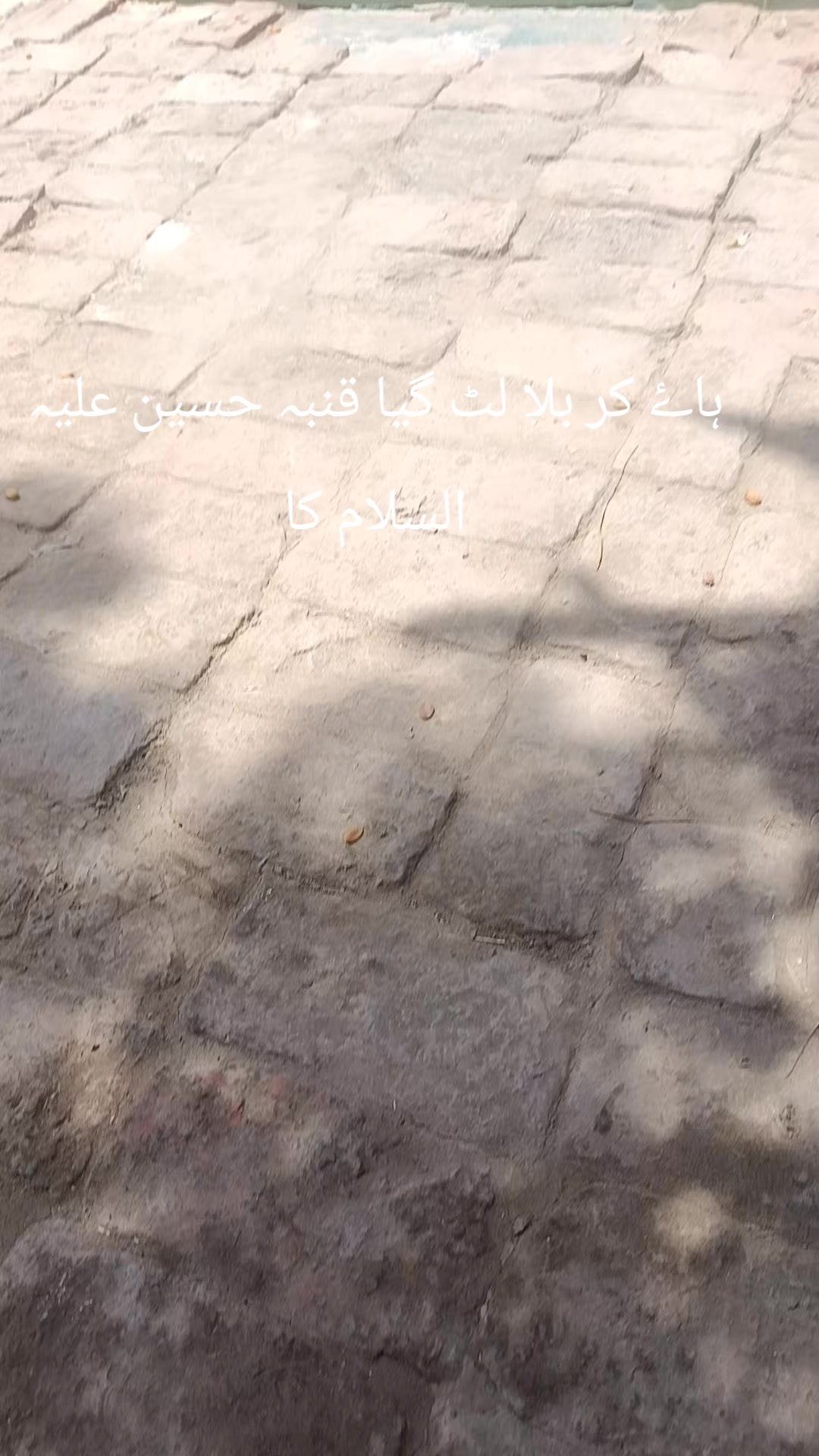 @Syed amir gillani 121472