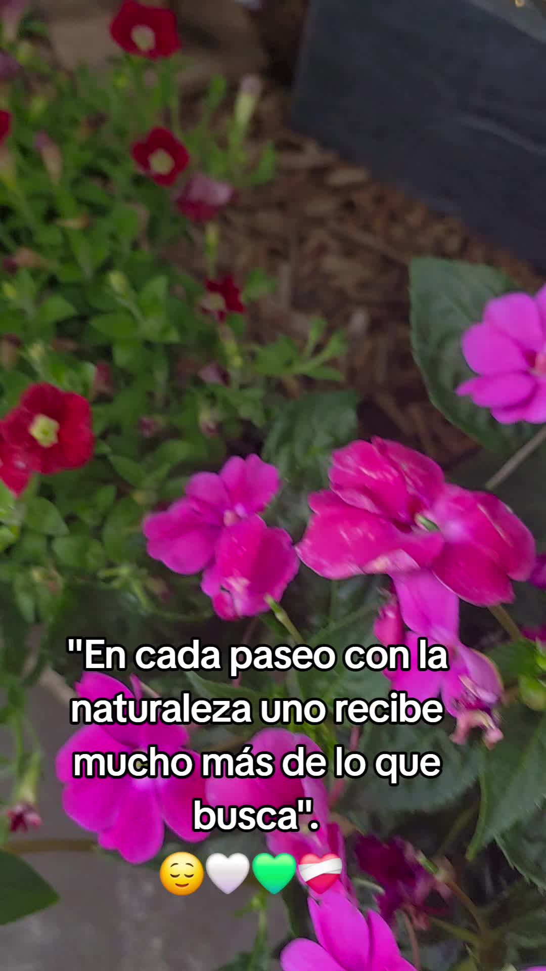 @𝙇𝙪𝙞𝙞502👨&zwj;🌾