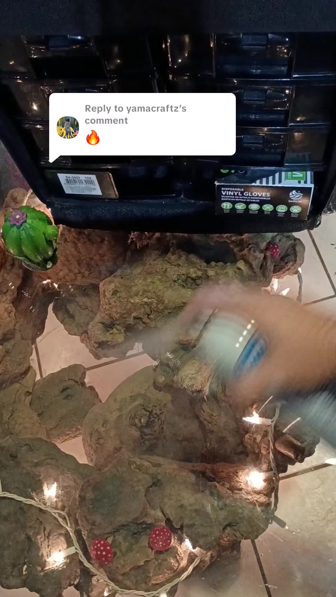 @cactifam