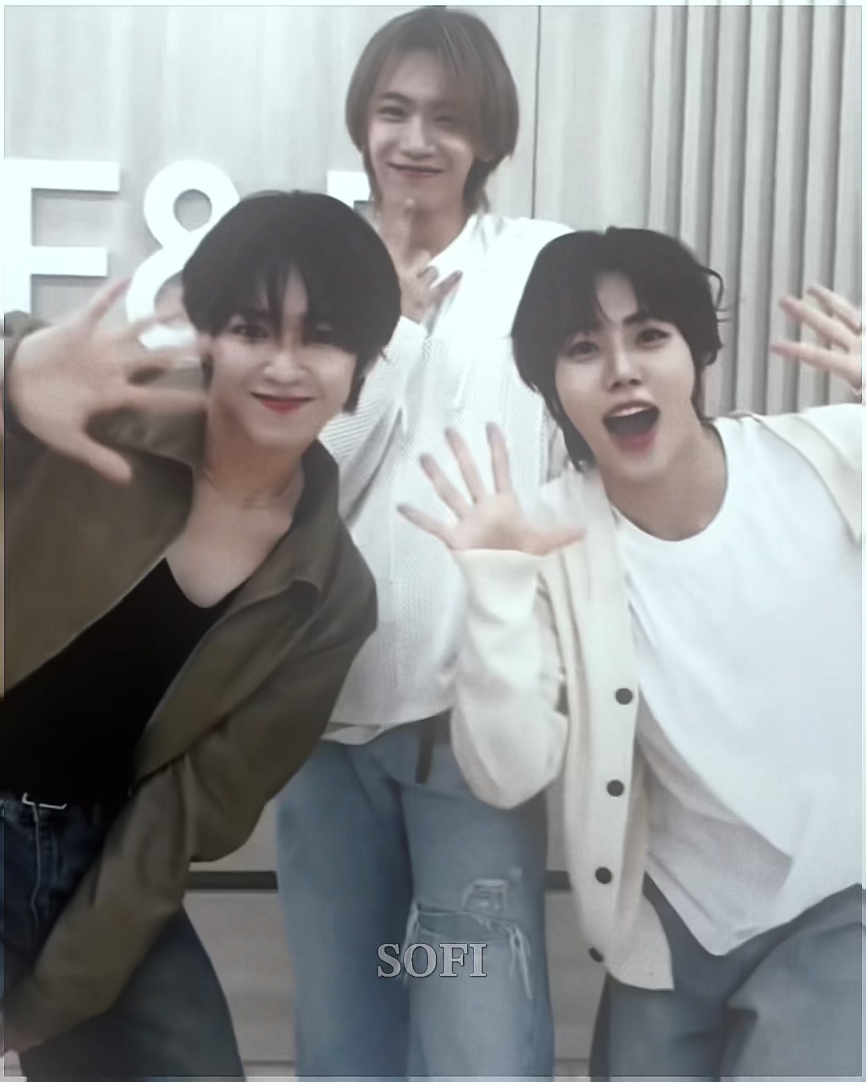 @sofi ✴︎˚。⋆
