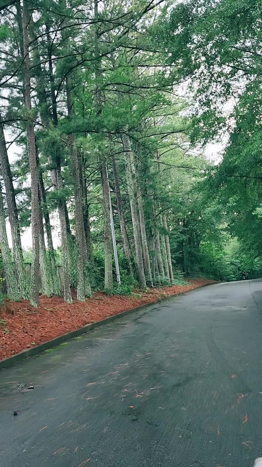 @joycericketts197