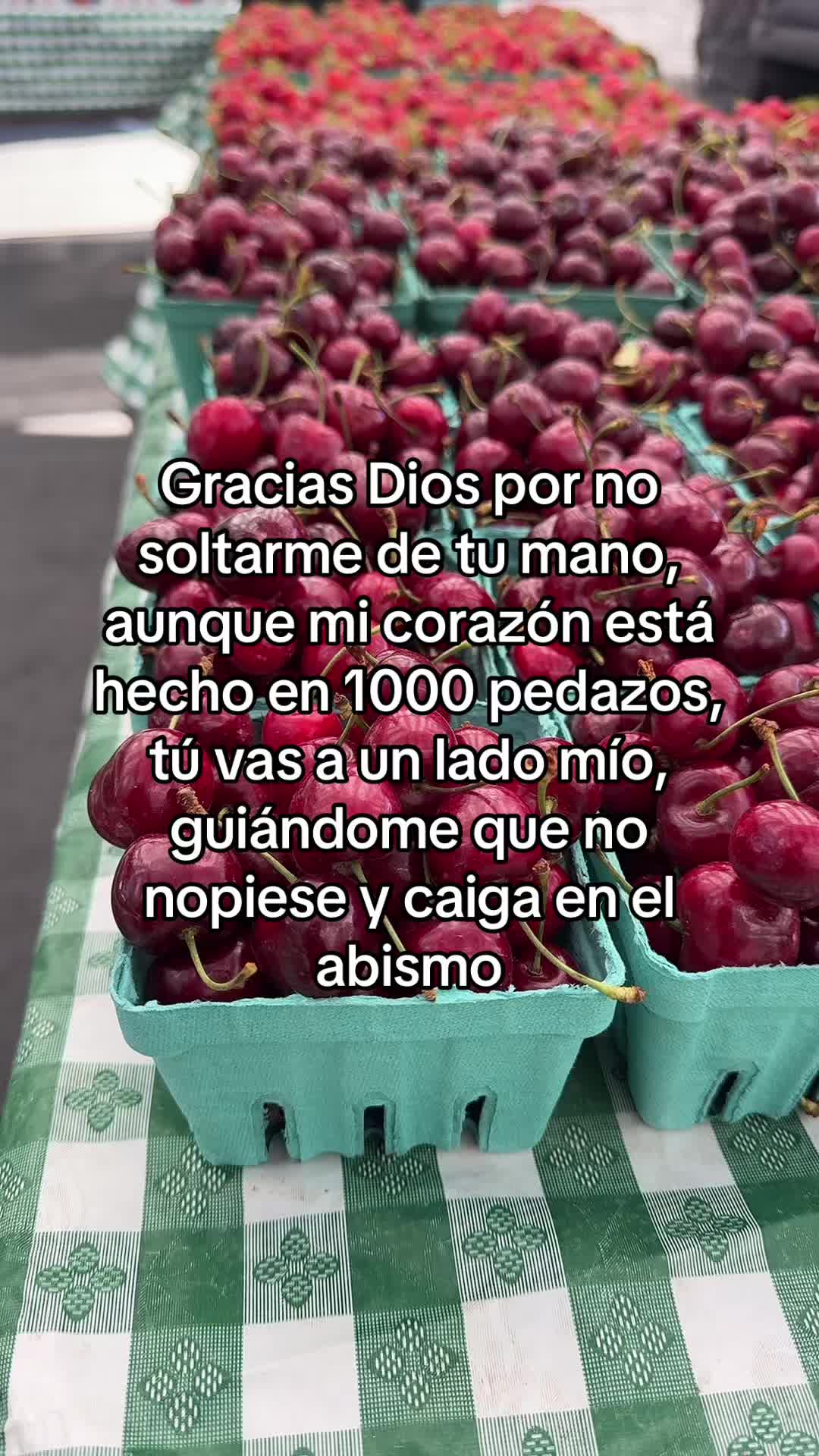 @pablocarbajal63