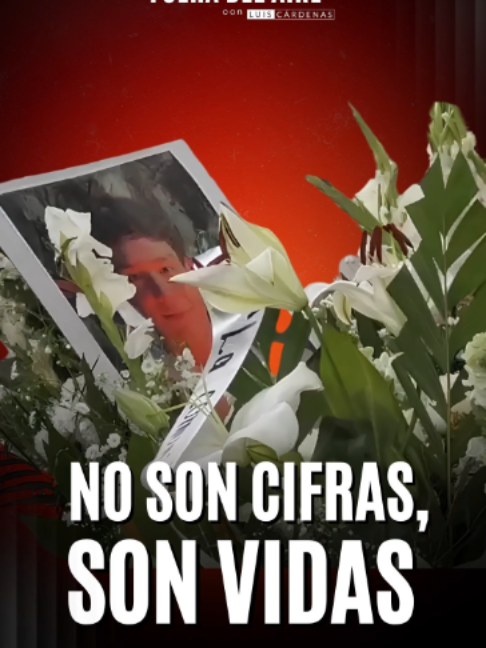 @Luis Cárdenas López