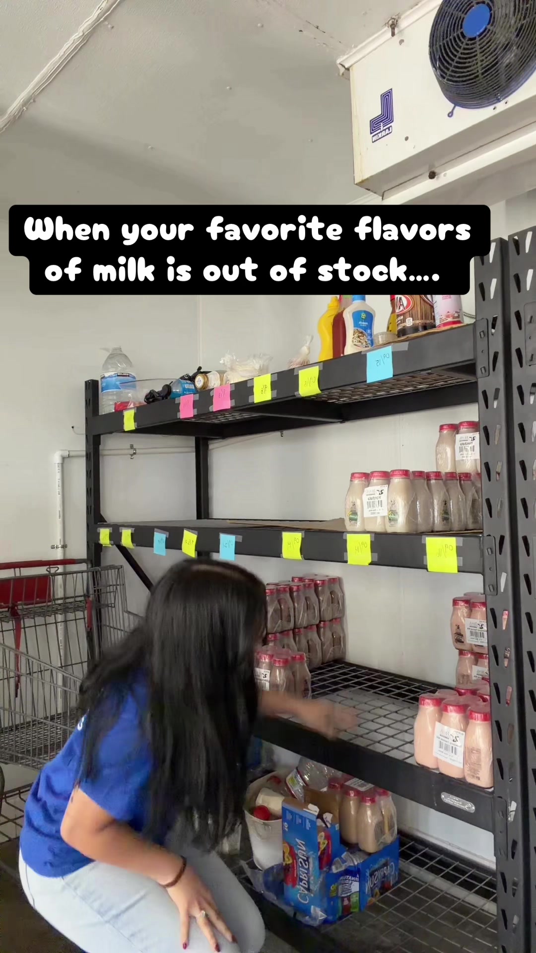 @Chinosfarmfreshdairy
