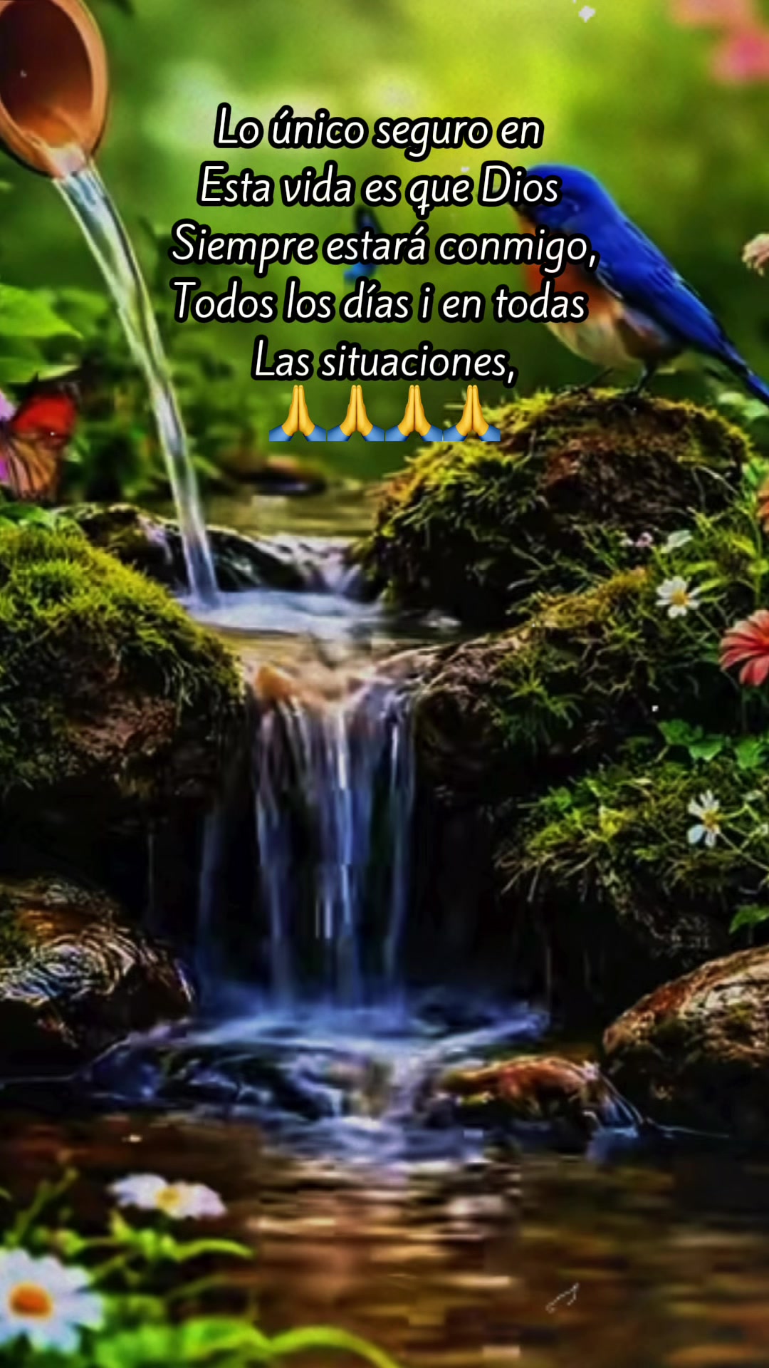 @☀️ Sol ☀️