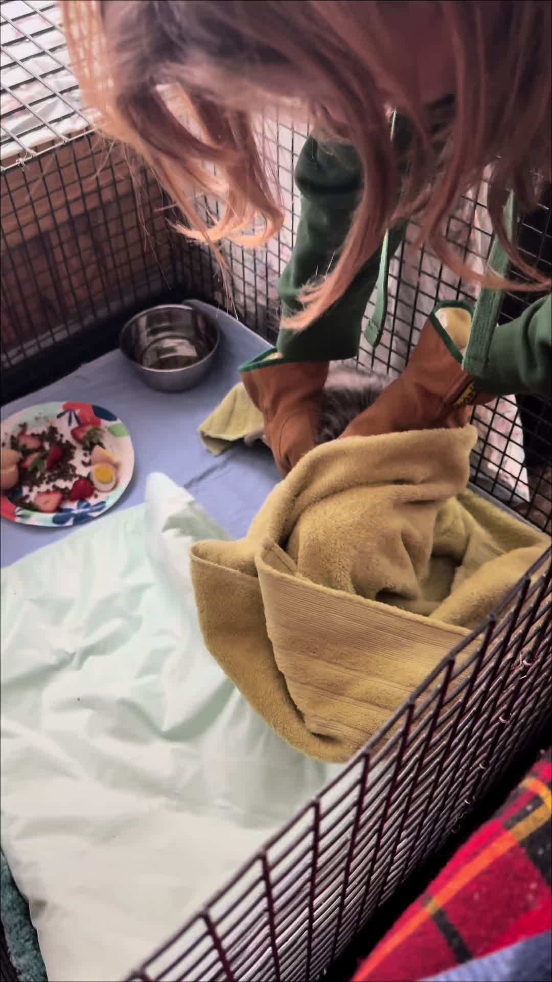 @Wild For Life Inc.