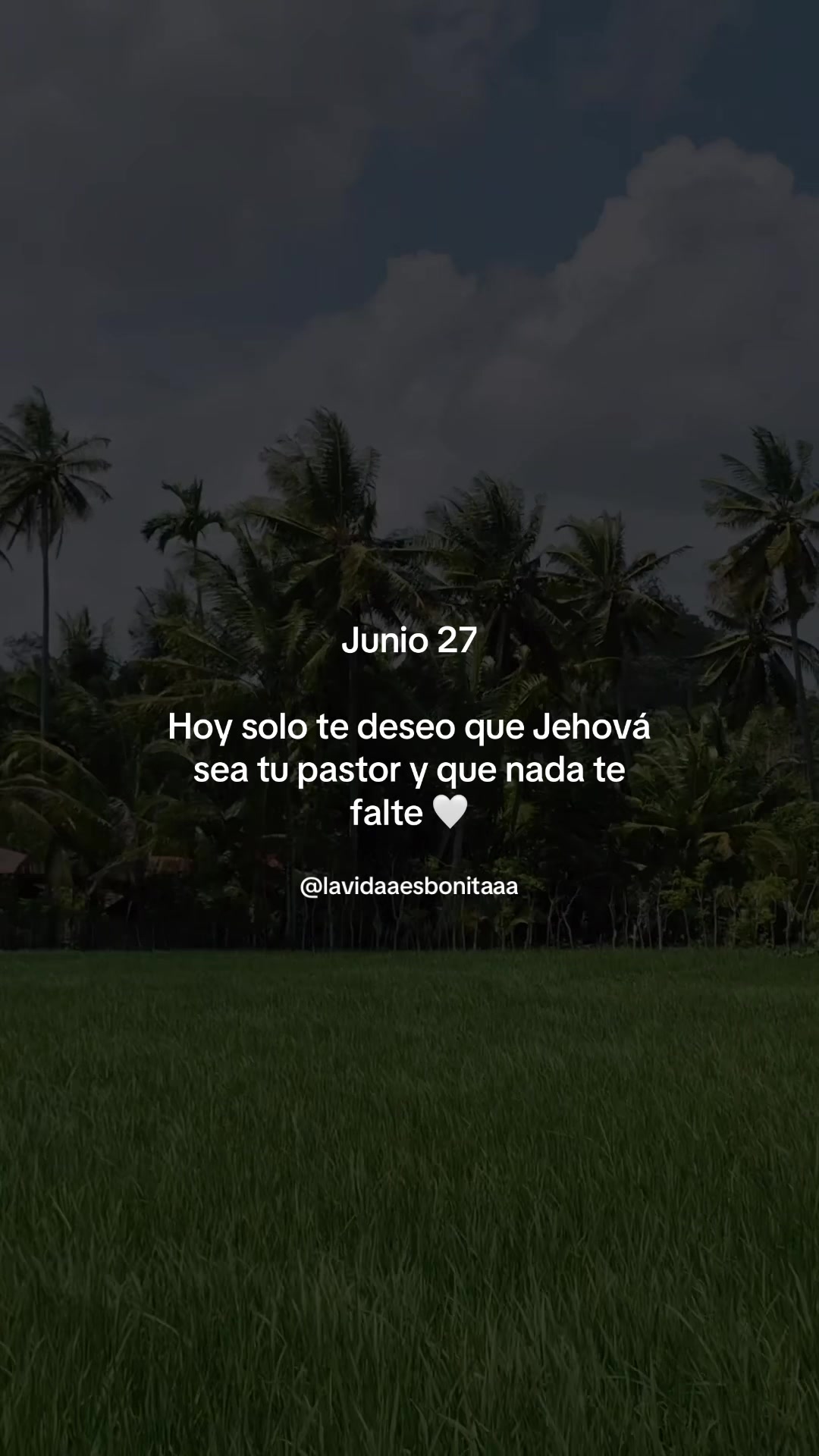 @vidabonita❤️&zwj;🩹