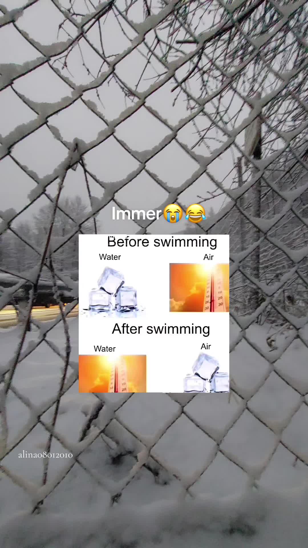 @ALINA