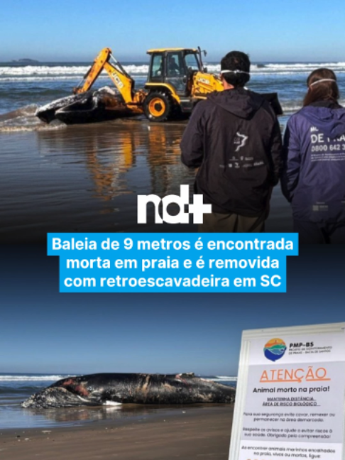 @portalndmais