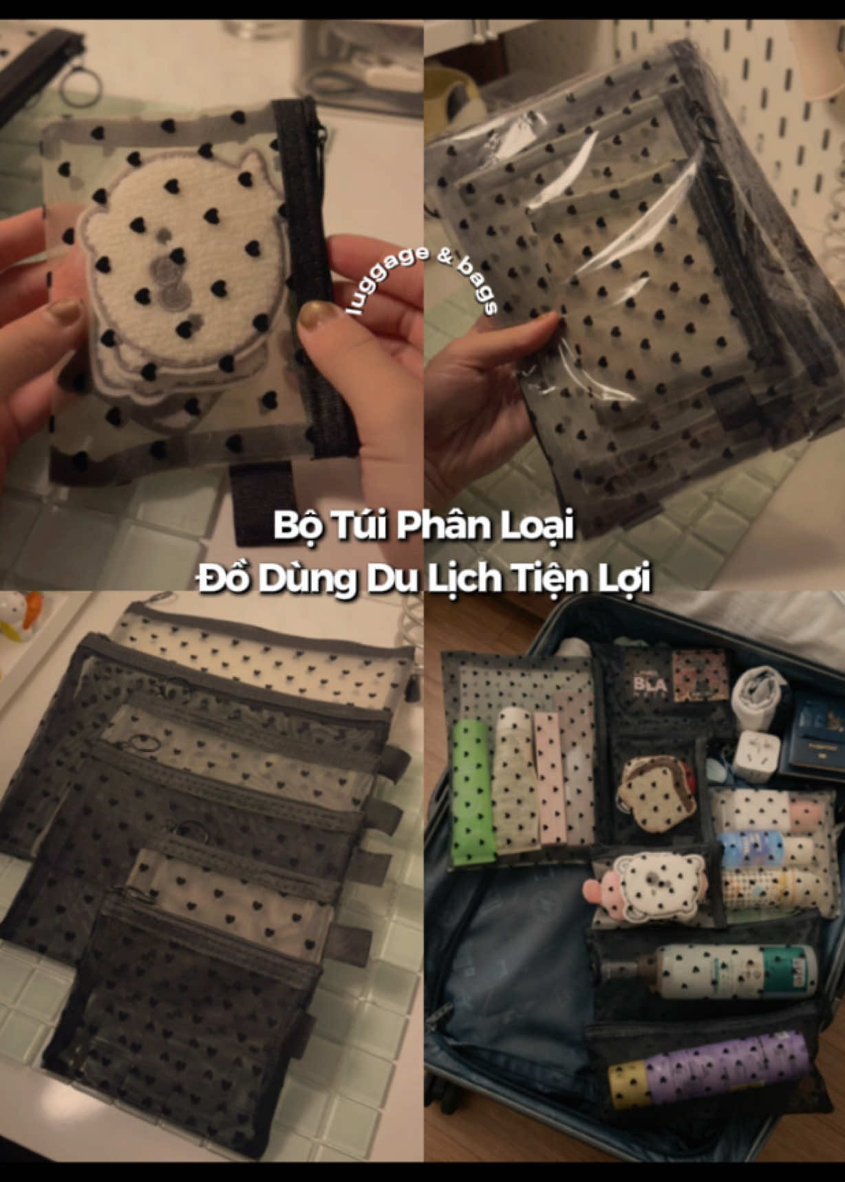 @٠࣪⭑ Hui Yin Chuột Bạch ⦮ ⦯