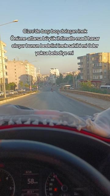 @Yaşar Altun