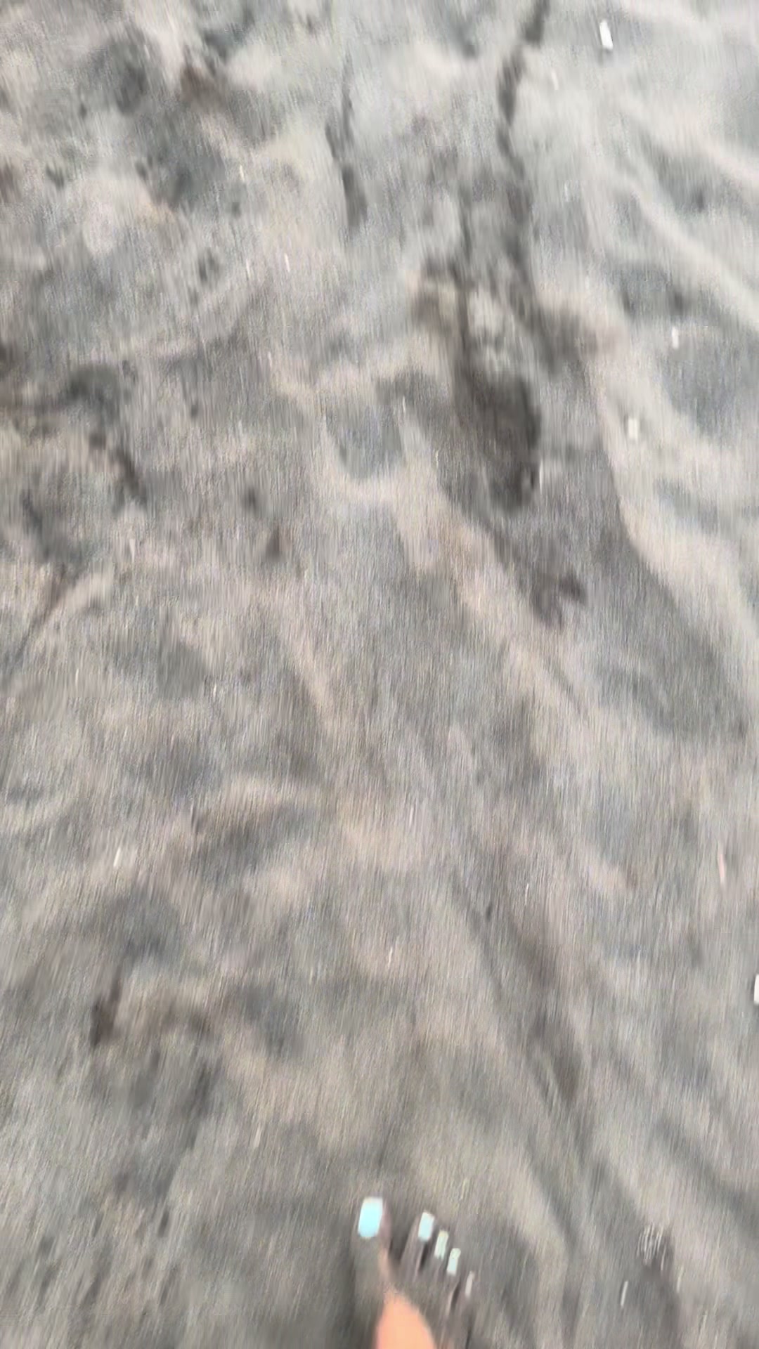 @elvinanika