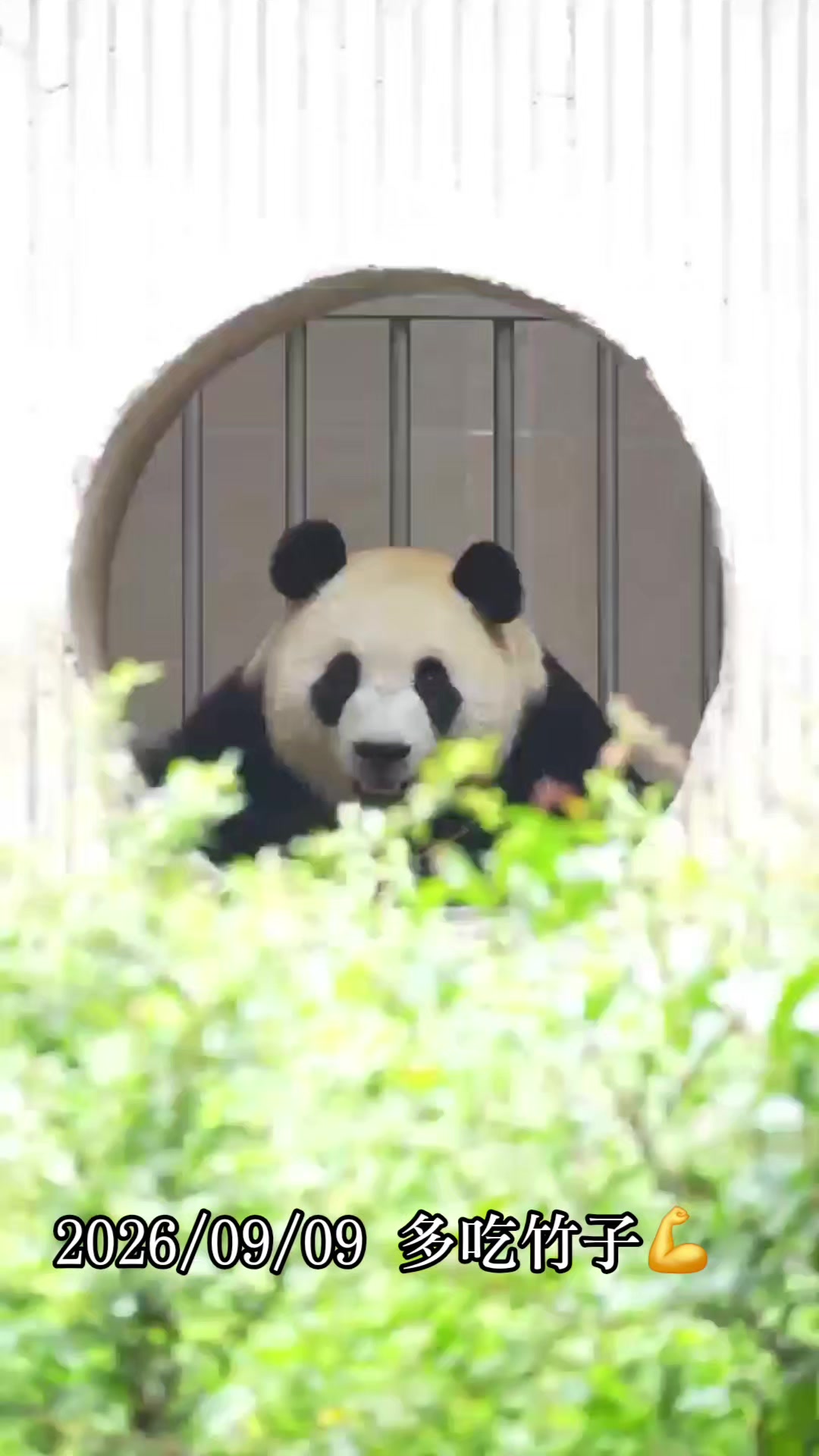 @福寶需要愛的抱抱