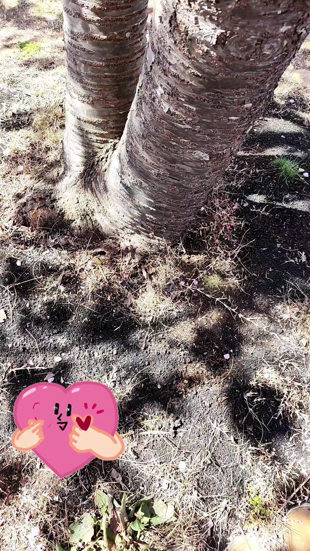 @宮尾美江