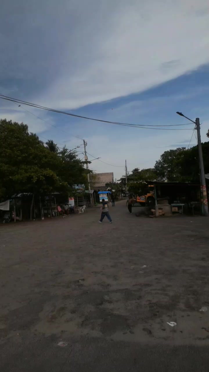 @buses elegantes 503