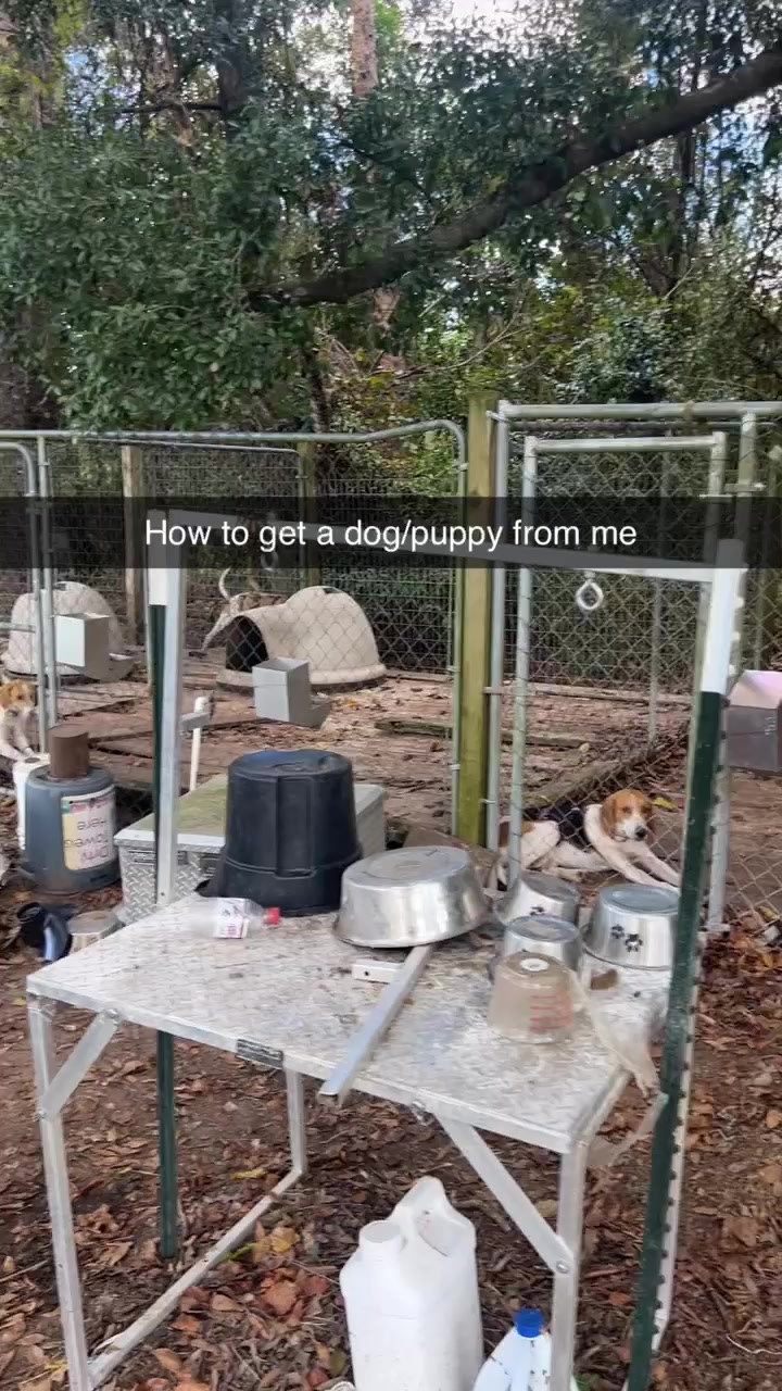 @truckanddogman