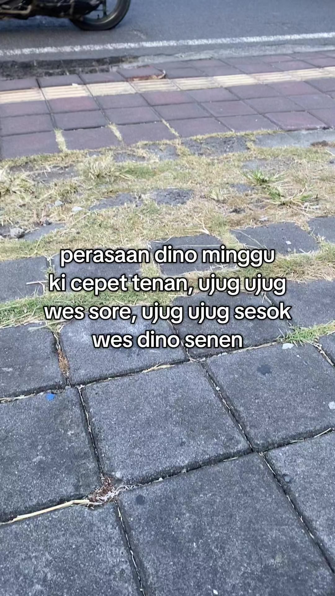 @aliell