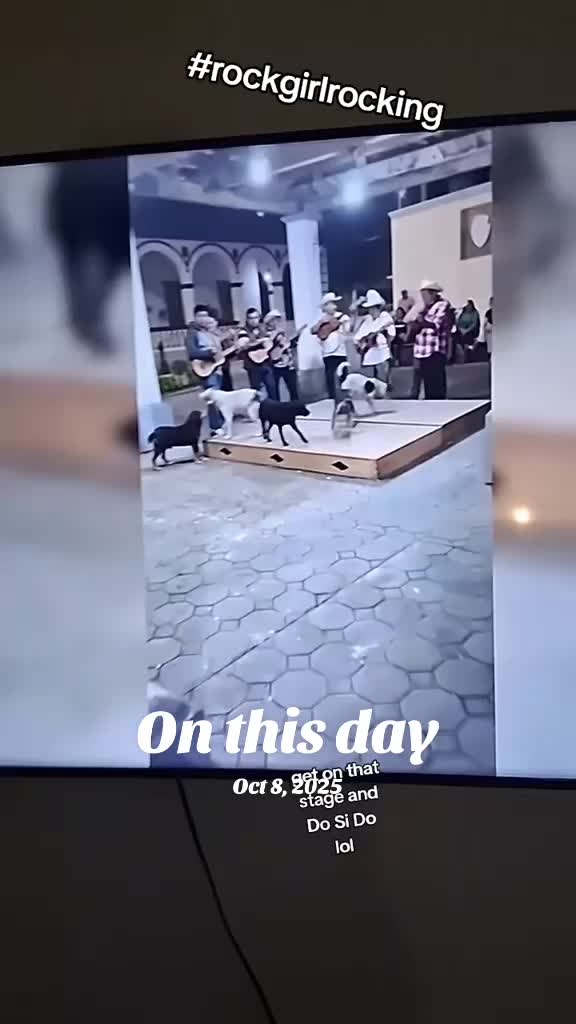 @RockGirlRocking
