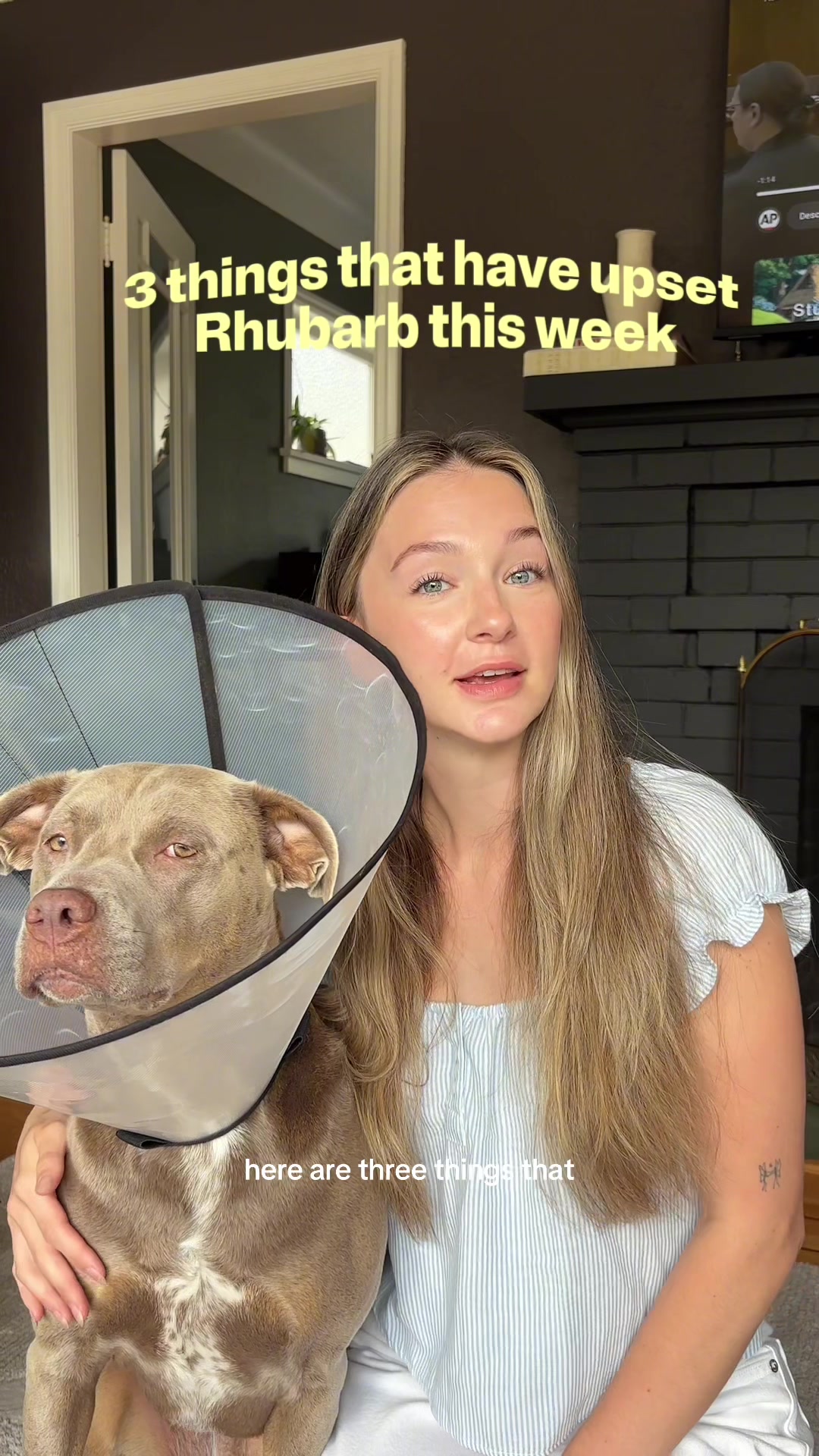 @rhubarb the doggo