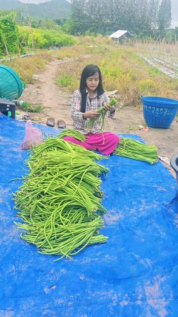 @မမပဲခူးသူ