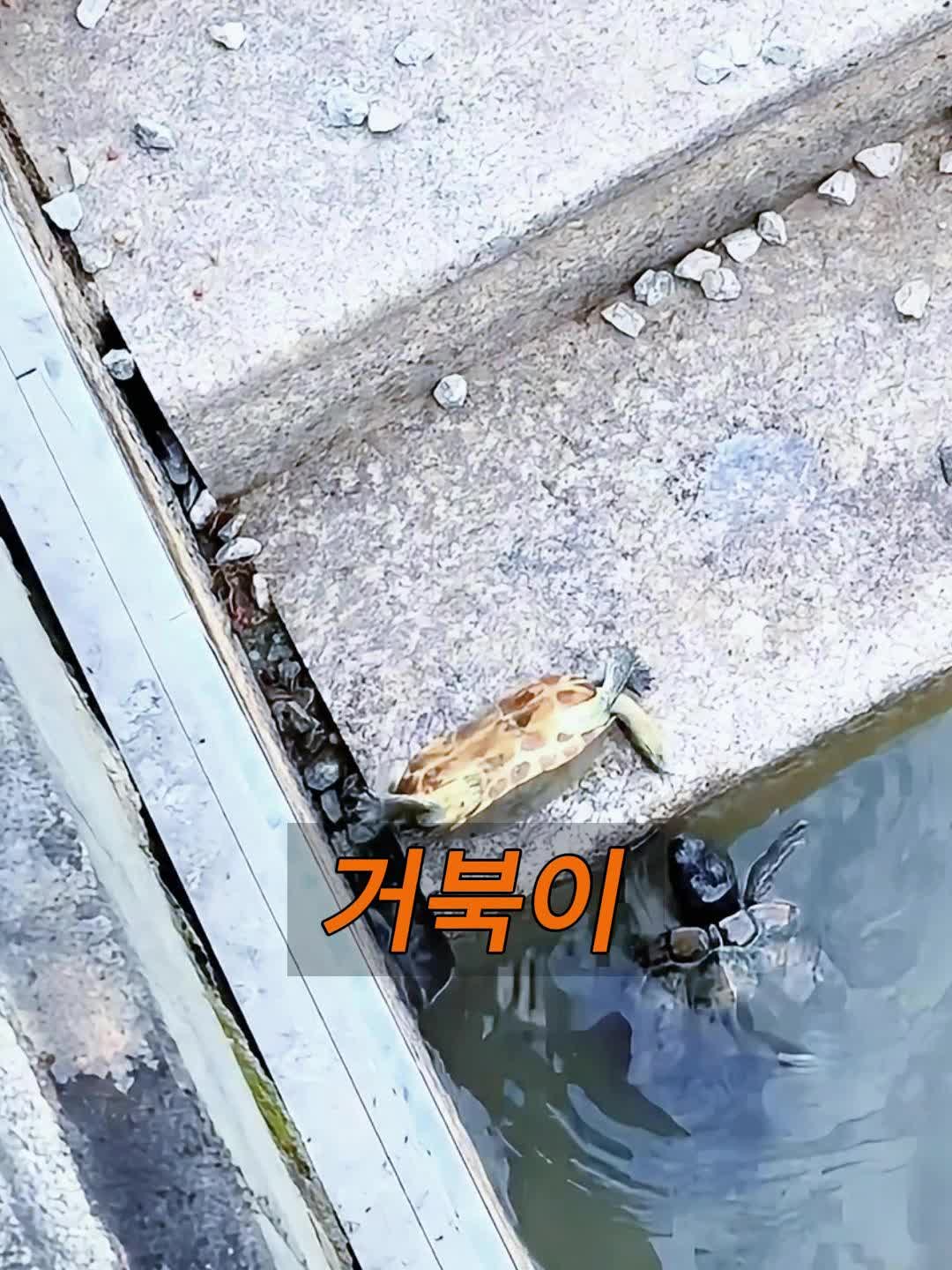@삼촌Cut2025