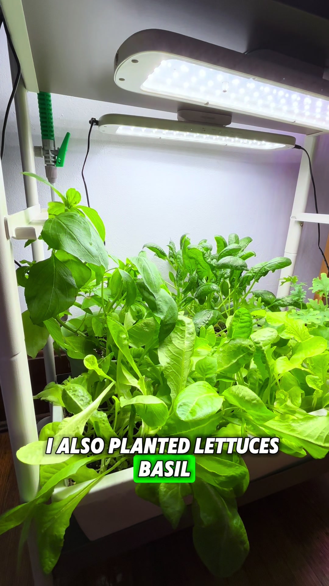 @Urban Agriculture w/ Mike