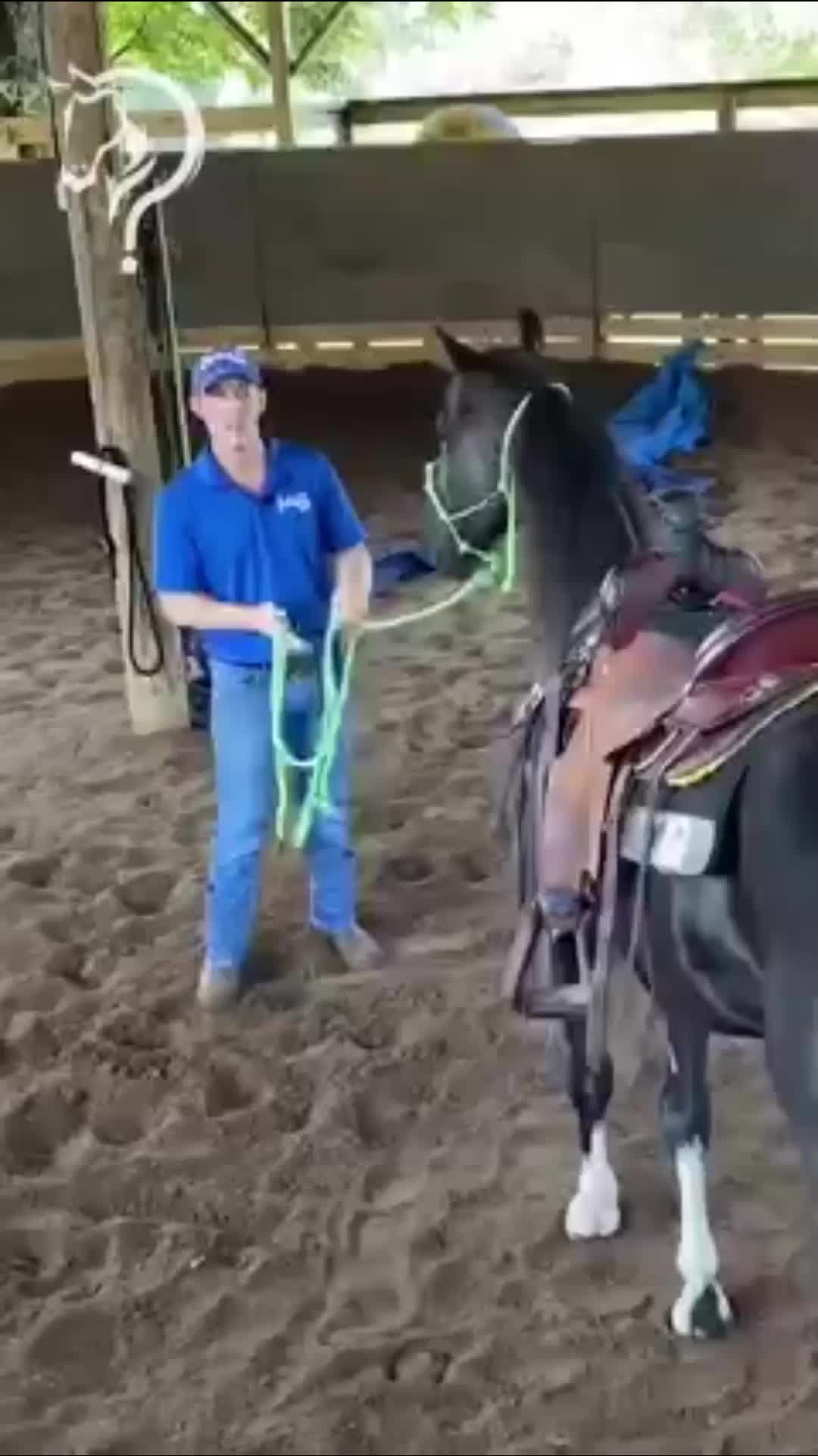 @Horse Help