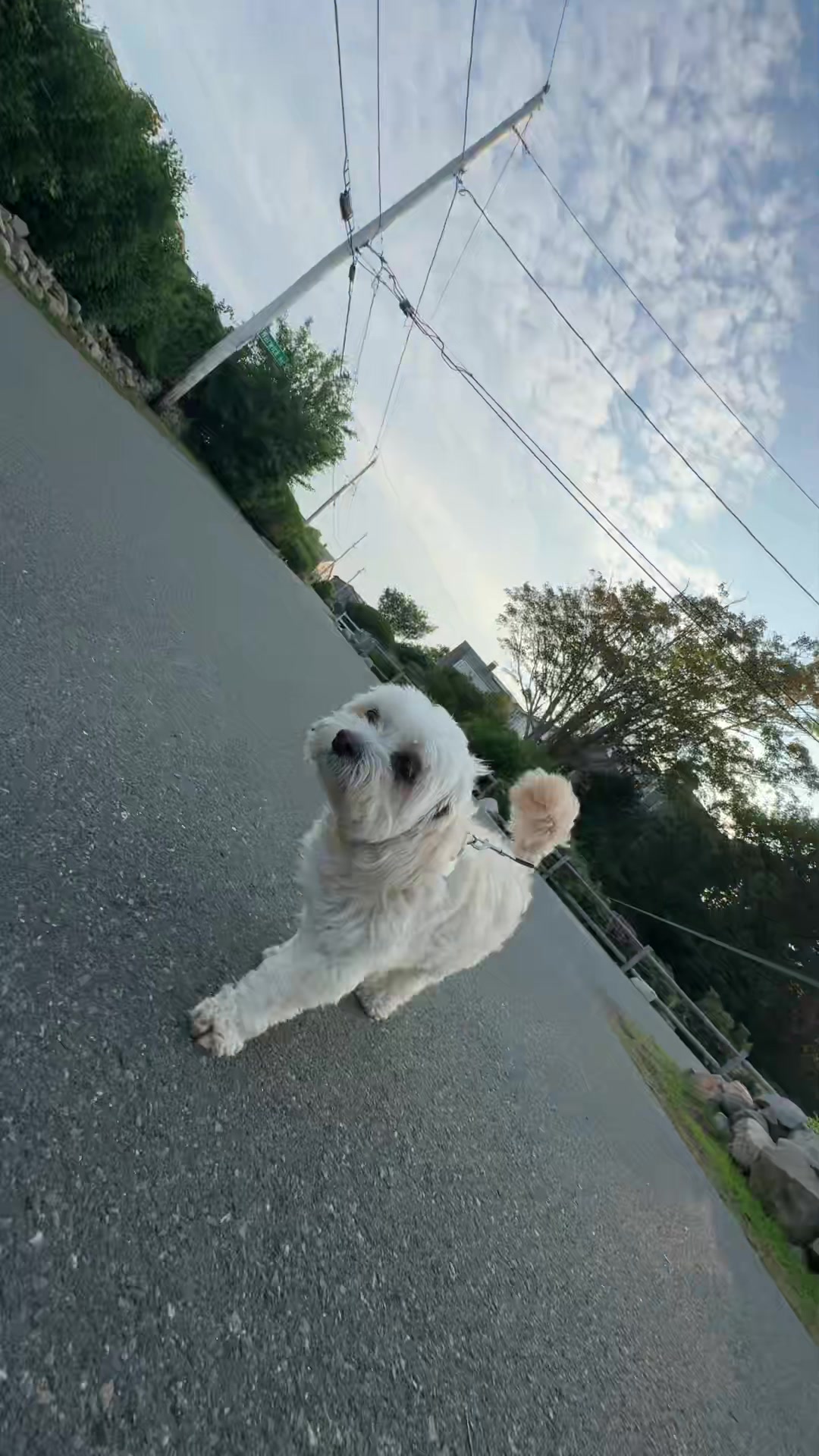 @🌞