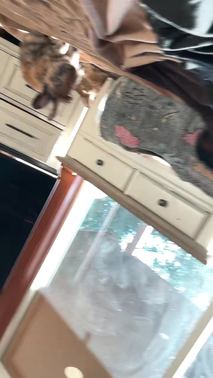 @Danielle L