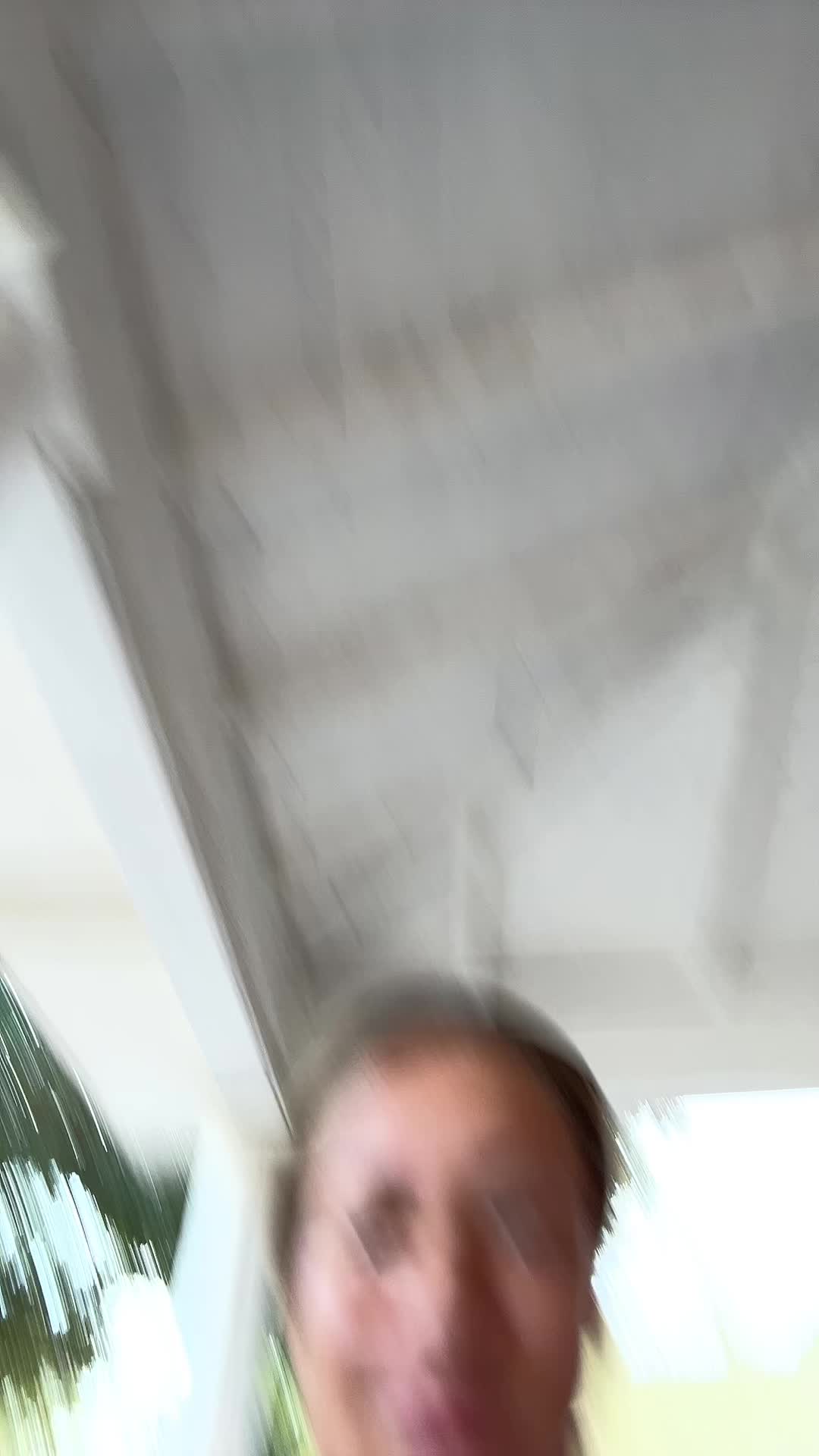 @Elysia
