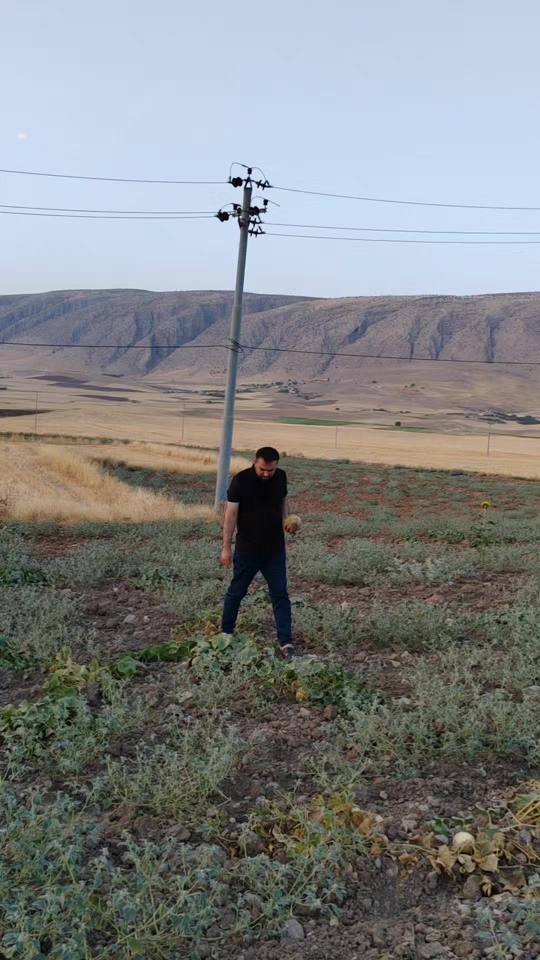 @karwan