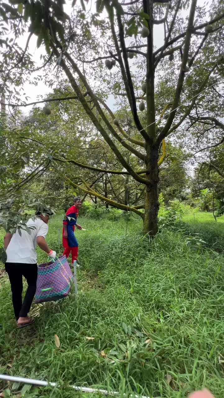 @Vinh Bùa