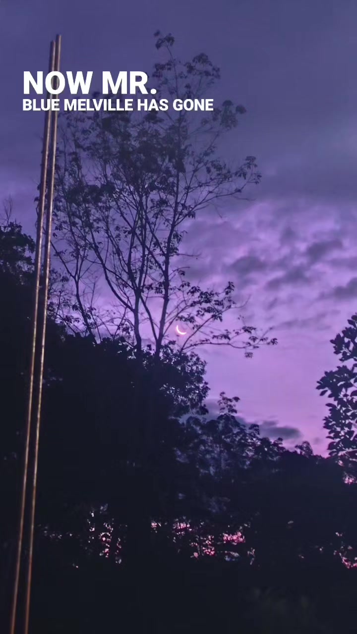 @Ribii