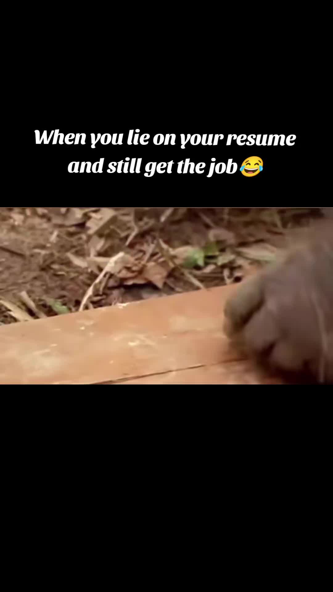 @FoxBox