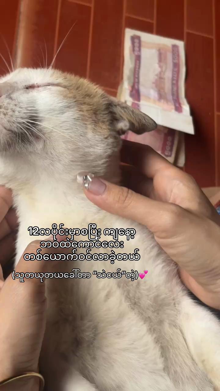 @Khin_ခင် 🦭