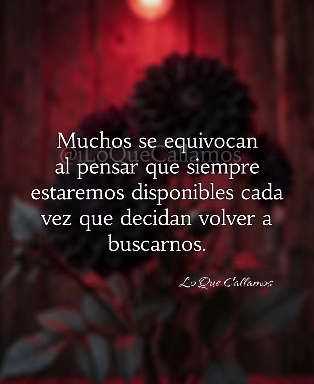 @Elizabeth Mendoza